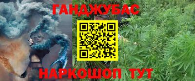 jwh Будённовск