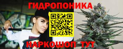 jwh Будённовск