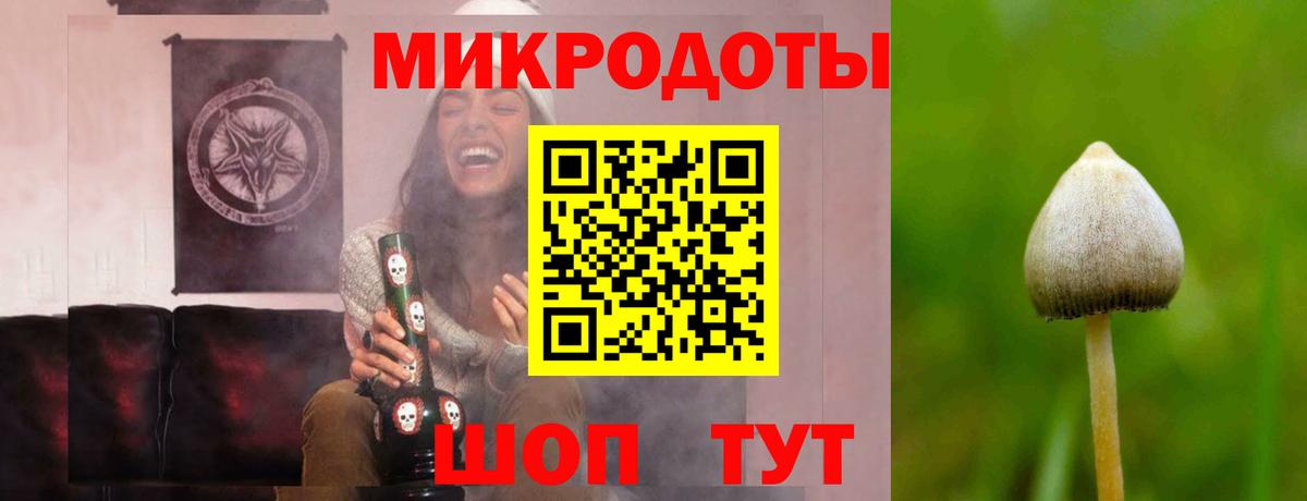 Псилоцибиновые грибы мицелий  Галлюциногенные грибы GOLDEN TEACHER  Вход с VPN  Мегион 